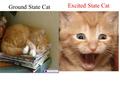 Ground State Cat Excited State Cat. Excited states and formal charges The COCl 2 example No formal charges Can you think of another way we can satisfy.