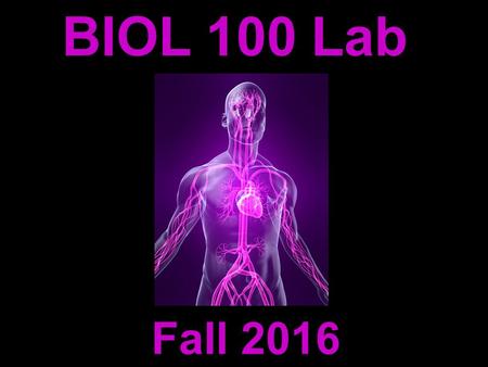 BIOL 100 Lab Fall 2016. Michelle Smith   Instructor: Contact Information: