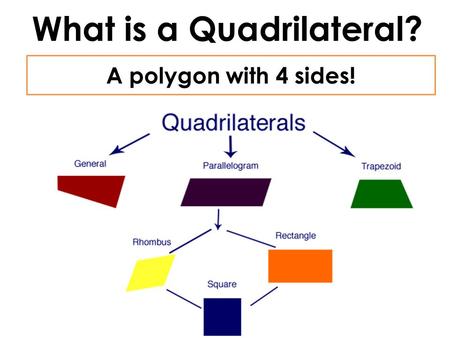 What is a Quadrilateral? A polygon with 4 sides!.