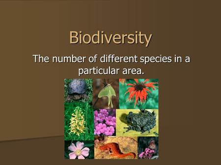 Biodiversity The number of different species in a particular area.