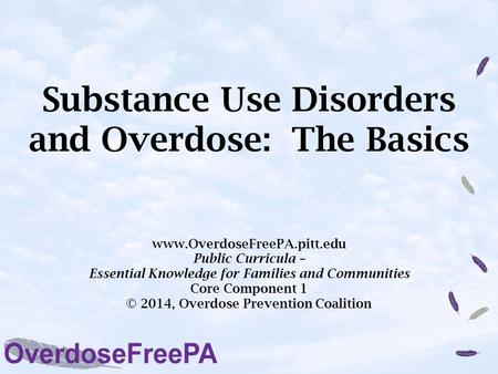Substance Use Disorders and Overdose: The Basics www.OverdoseFreePA.pitt.edu Public Curricula – Essential Knowledge for Families and Communities Core Component.