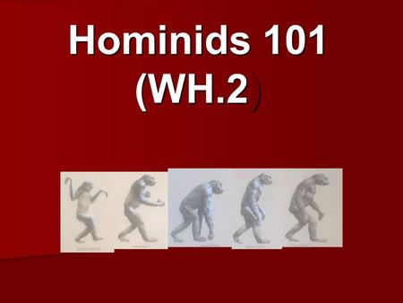 Hominids 101 (WH.2). What does Prehistory mean? Time before humans wrote down or recorded records of past events!