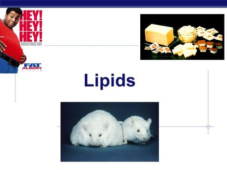 Lipids.  Lipids are composed of C, H, O  long hydrocarbon chain  Diverse group  fats  phospholipids  steroids  Do not form polymers  big molecules.