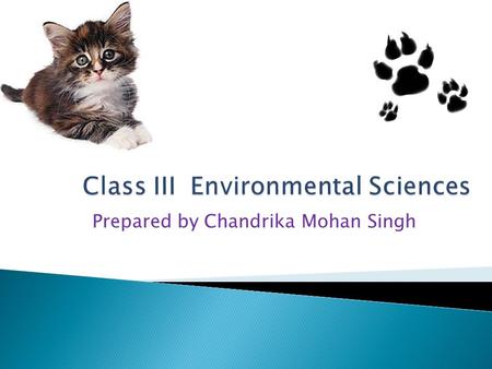 Prepared by Chandrika Mohan Singh Our Friends Animals.