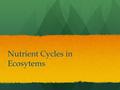Nutrient Cycles in Ecosytems