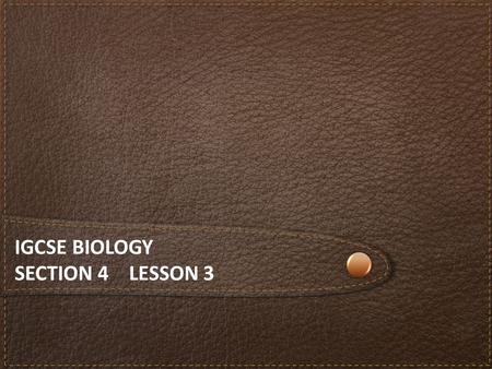 IGCSE BIOLOGY SECTION 4 LESSON 3. Content Section 4 Ecology and the Environment a)The organism in the environment b)Feeding relationships c)Cycles within.