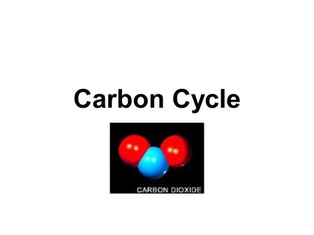 Carbon Cycle. Sources of Energy DIRECTLY or INDIRECTLY FROM THE SUN The SUN is the ORIGINAL SOURCE of most energy.