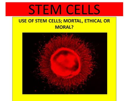 STEM CELLS USE OF STEM CELLS; MORTAL, ETHICAL OR MORAL?
