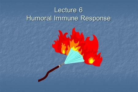 Lecture 6 Humoral Immune Response. The Antibody Response.