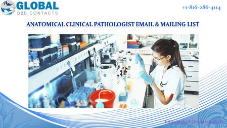 +1-816-286-4114. Target the top notch anatomical clinical pathologists with our highly accurate anatomical clinical pathologists.