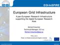 Www.egi.eu EGI-InSPIRE RI-261323 EGI-InSPIRE www.egi.eu EGI-InSPIRE RI-261323 A pan-European Research Infrastructure supporting the digital European Research.
