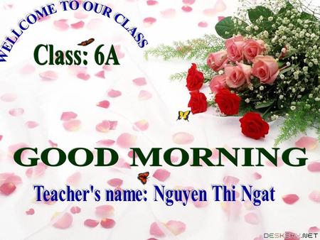 Teacher's name: Nguyen Thi Ngat