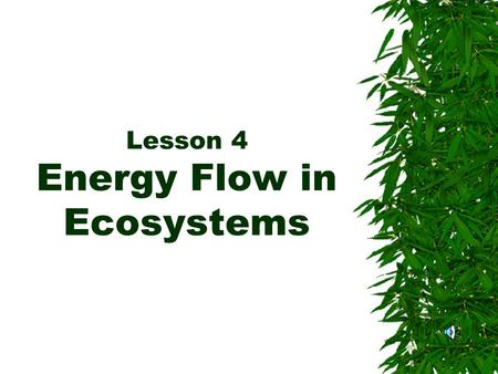 Lesson 4 Energy Flow in Ecosystems. Energy AAll living things need energy to grow and to carry out their activities. TThey get this energy from their.
