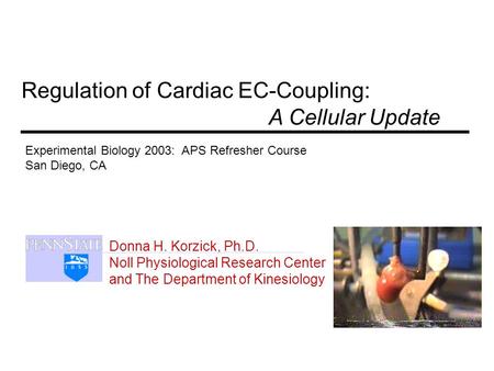 Donna H. Korzick, Ph.D. Noll Physiological Research Center and The Department of Kinesiology Regulation of Cardiac EC-Coupling: A Cellular Update Experimental.