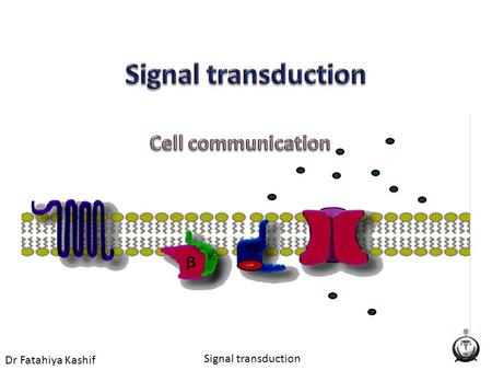 Dr Fatahiya Kashif Signal transduction. Dr Fatahiya Kashif Signal transduction.