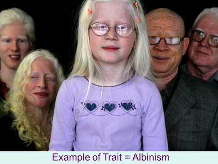 Example of Trait = Albinism