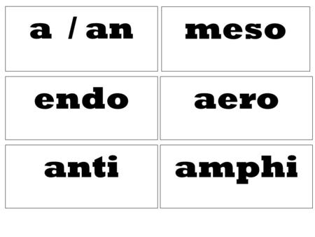 A / an meso amphi aero anti endo. Middle Not / non against Internal, inside, inner Both, doubly Needing oxygen, air.