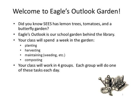 Welcome to Eagle’s Outlook Garden! Did you know SEES has lemon trees, tomatoes, and a butterfly garden? Eagle’s Outlook is our school garden behind the.