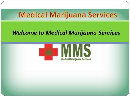 Welcome to Medical Marijuana Services. About Us Medical Marijuana Services (MMS) provides Canadians with access to our Team of Compassionate Doctors that.