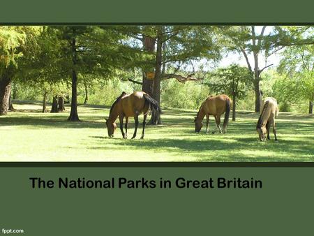 The National Parks in Great Britain. After a noisy city, so nice to be outdoors. Wander through the quiet forest paths, listening to the birds, breathe.