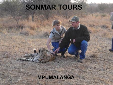 SONMAR TOURS MPUMALANGA. TOUR DETAILS Caves Reptile park Elephant rides and interactions Canyon sight seeing Potholes Hippo feeding Cheetah walks Kruger.