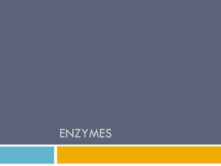 ENZYMES. Enzymes  You should be able to recall the function on an enzyme, name the main enzymes that work in the body and the food group that they work.