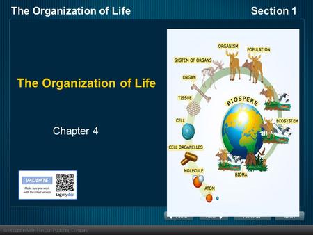 The Organization of LifeSection 1 The Organization of Life Chapter 4.