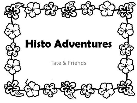 Histo Adventures Tate & Friends. Our Game Our game is a scavenger hunt about history. We have 10 levels. Some levels are about inventors or creators and.