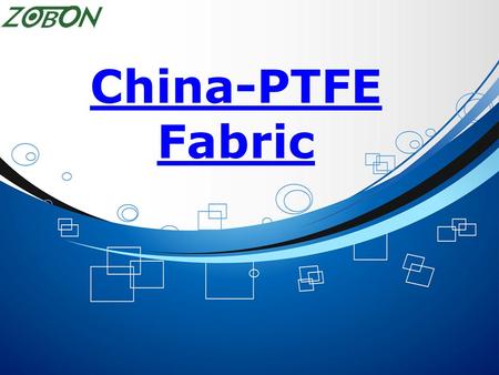 China-PTFE Fabric.