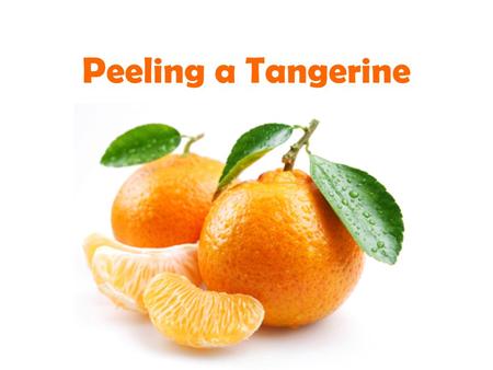 Peeling a Tangerine.