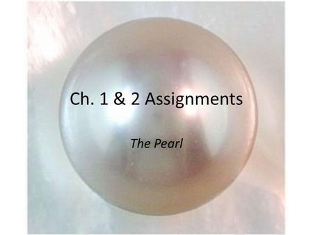 Ch. 1 & 2 Assignments The Pearl.