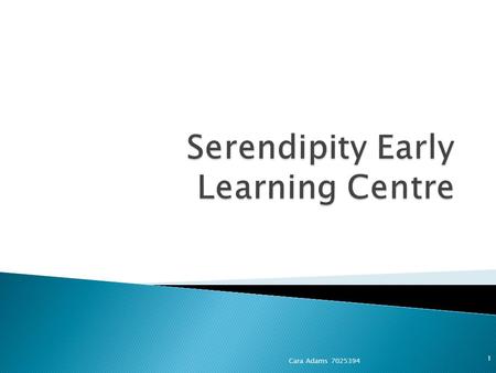 Cara Adams 7025394 1. 2 Changes to Serendipity Early Learning Centre's philosophy Existing outdoor environment policy is inclusive of the following: -