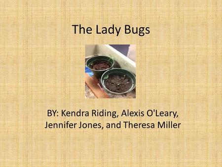 The Lady Bugs BY: Kendra Riding, Alexis O'Leary, Jennifer Jones, and Theresa Miller.