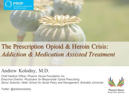The Prescription Opioid & Heroin Crisis: Addiction & Medication Assisted Treatment Andrew Kolodny, M.D. Chief Medical Officer, Phoenix House Foundation.