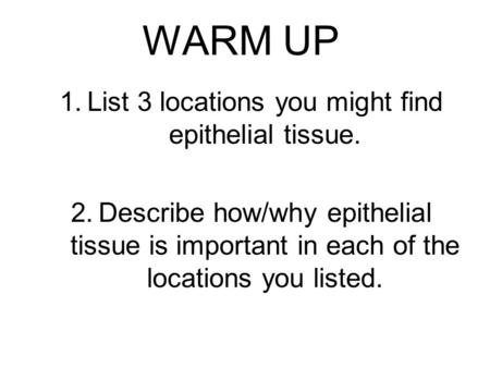 WARM UP 1.List 3 locations you might find epithelial tissue. 2.Describe how/why epithelial tissue is important in each of the locations you listed.