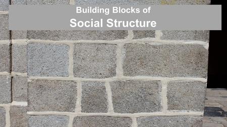 Building Blocks of Social Structure. Status Social Structure – the network of interrelated statuses & roles that guide human interaction Status – a socially.