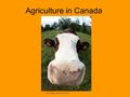 Agriculture in Canada