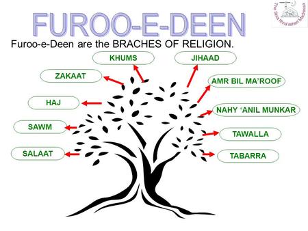 Furoo-e-Deen are the BRACHES OF RELIGION. TABARRA SAWM SALAAT TAWALLA NAHY ‘ANIL MUNKAR AMR BIL MA’ROOF JIHAADKHUMS ZAKAAT HAJ.