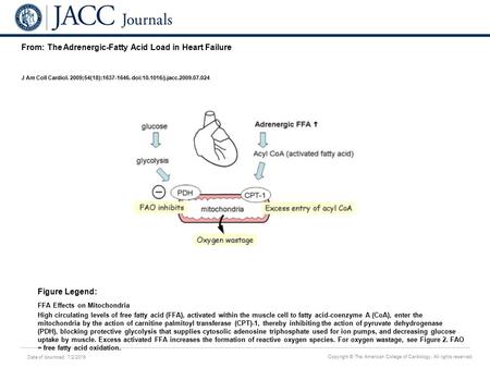 Date of download: 7/2/2016 Copyright © The American College of Cardiology. All rights reserved. From: The Adrenergic-Fatty Acid Load in Heart Failure J.