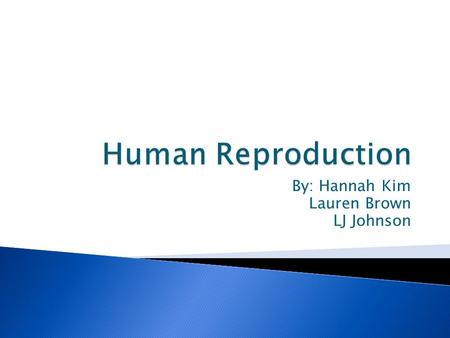 By: Hannah Kim Lauren Brown LJ Johnson.  Ovulation: process by which an egg is released from the ovary and becomes available for fertilization.