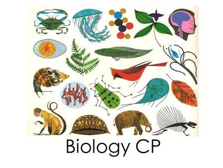 Biology CP. Homework Ch.14.1 Section Review p.258 #1-4 9-3-15 Food Chain and Food Web Quiz 9-4-15.