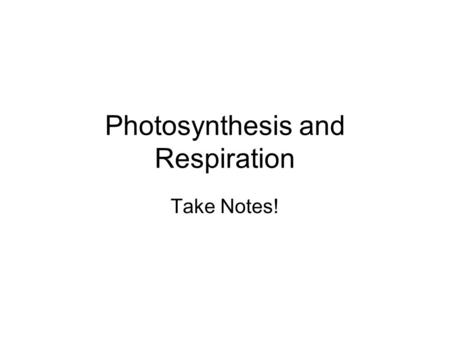 Photosynthesis and Respiration Take Notes!. Photosynthesis worksheet 1.What is necessary for plant survival? Photosynthesis! Four Ingredients Needed: