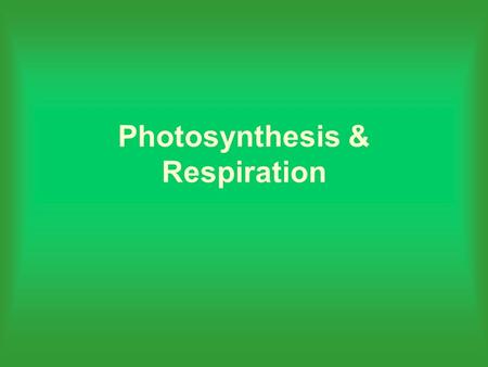 Photosynthesis & Respiration. Objectives Recognize that most plants and animals require food and oxygen Identify the function of the chloroplast during.