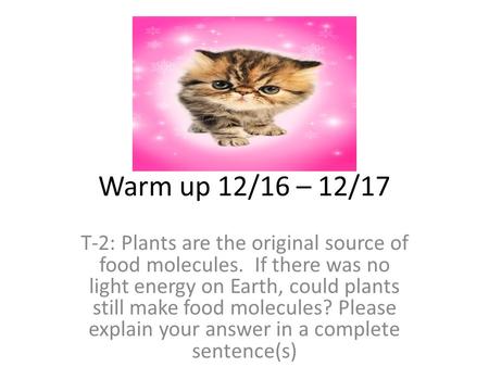 Warm up 12/16 – 12/17 T-2: Plants are the original source of food molecules. If there was no light energy on Earth, could plants still make food molecules?