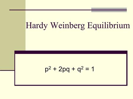 Hardy Weinberg Equilibrium p 2 + 2pq + q 2 = 1. Two scientists independently derived the basic principle of population genetics called the Hardy – Weinberg.