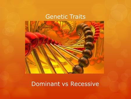 Genetic Traits Dominant vs Recessive. Dominant vs Recessive Traits  Discuss with you shoulder partner what you think dominant and recessive traits are.