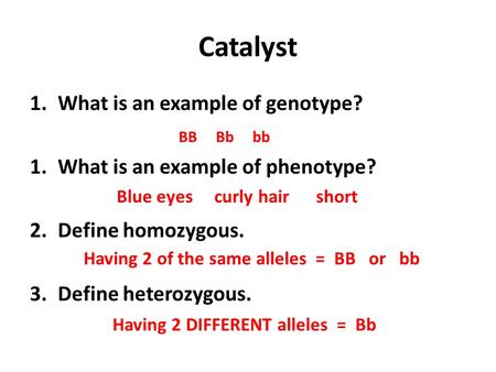Catalyst 1.What is an example of genotype? 1.What is an example of phenotype? 2.Define homozygous. 3.Define heterozygous. BB Bb bb Blue eyes curly hair.