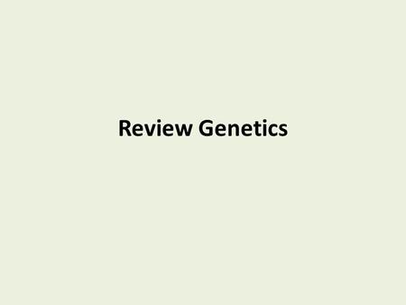 Review Genetics. Terms the letters and symbols the physical appearance or what you see a capital letter and a lower case letter 2 capital letters or 2.