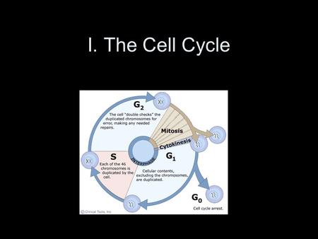 I. The Cell Cycle. Cell Cycle: the series of events that take place in a cell leading to its division and duplication *some cells, such as muscle and.