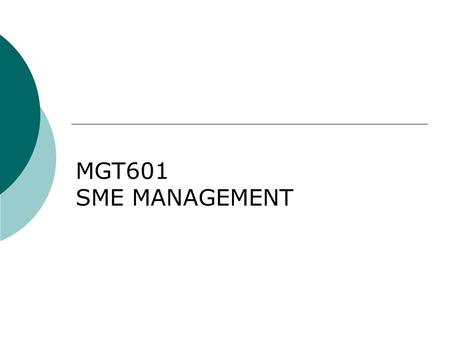 MGT601 SME MANAGEMENT. Lesson 22 Guide Lines for Approaching Lenders – III.